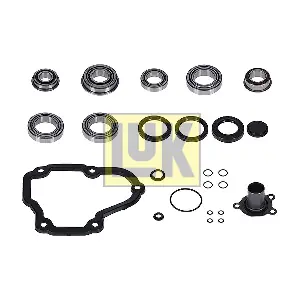 462 0317 10 Schaeffler LuK
