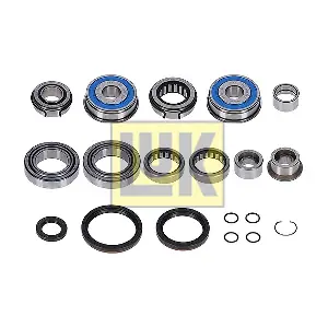 462 0383 10 Schaeffler LuK