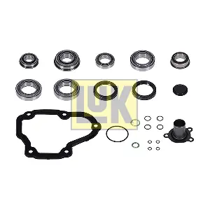 462 0319 10 Schaeffler LuK