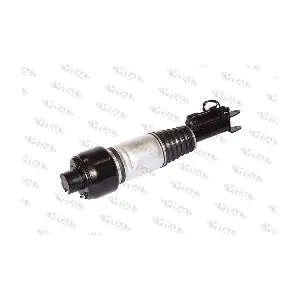 170010 VITAL SUSPENSIONS