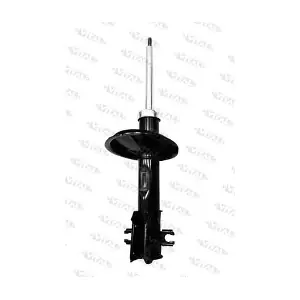 VITAL SUSPENSIONS 110259.0