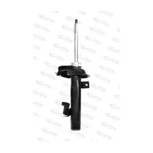 VITAL SUSPENSIONS 210799
