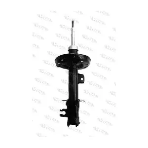 VITAL SUSPENSIONS 210571