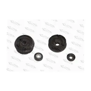 600310 VITAL SUSPENSIONS