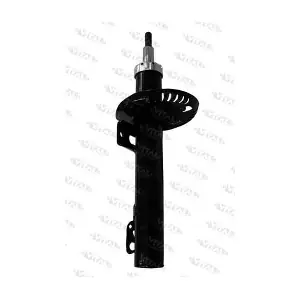 VITAL SUSPENSIONS 210126