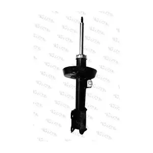 VITAL SUSPENSIONS 210564