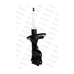 210788 VITAL SUSPENSIONS