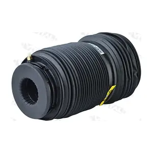 750570 VITAL SUSPENSIONS
