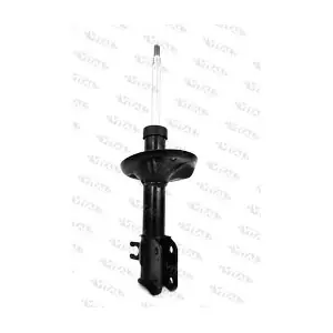 VITAL SUSPENSIONS 210932
