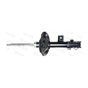 VITAL SUSPENSIONS 210910