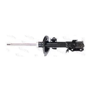 VITAL SUSPENSIONS 110965.2
