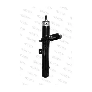 VITAL SUSPENSIONS 1105881