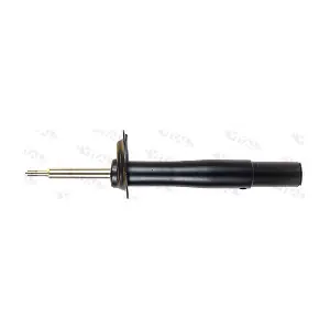 210939 VITAL SUSPENSIONS