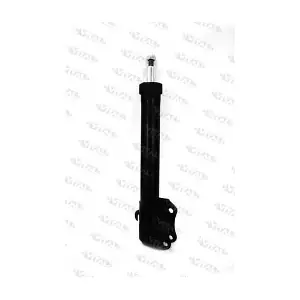 VITAL SUSPENSIONS 110285.0