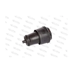 750140 VITAL SUSPENSIONS