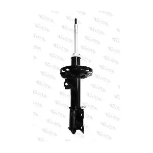 VITAL SUSPENSIONS 110565.2