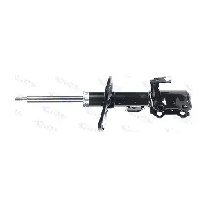 VITAL SUSPENSIONS 110866.1