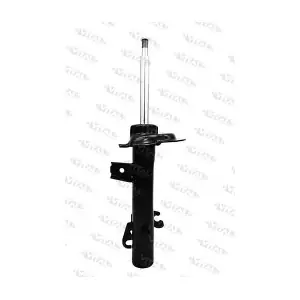 VITAL SUSPENSIONS 110187.1