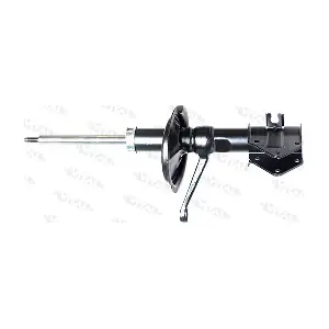 VITAL SUSPENSIONS 210109
