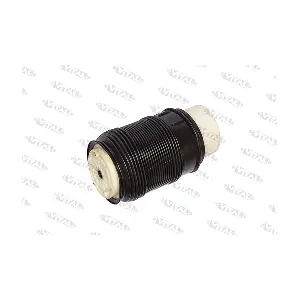 750182 VITAL SUSPENSIONS