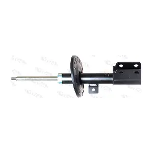 112164.0 VITAL SUSPENSIONS