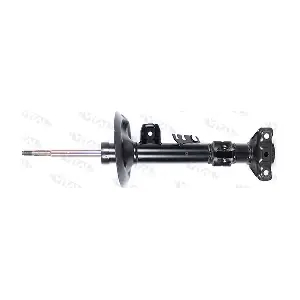 VITAL SUSPENSIONS 1101801