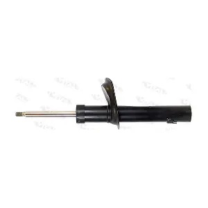 VITAL SUSPENSIONS 1102030