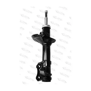 VITAL SUSPENSIONS 100771.0