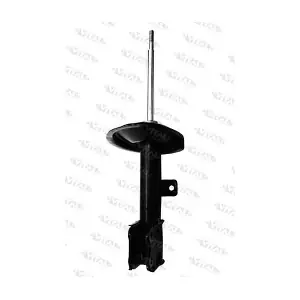 VITAL SUSPENSIONS 210222