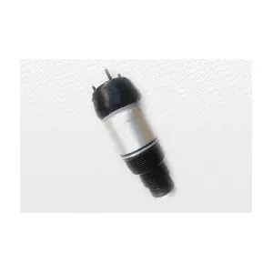 750281 VITAL SUSPENSIONS