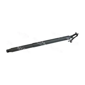 352060 VITAL SUSPENSIONS