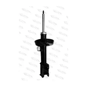 VITAL SUSPENSIONS 110562.2