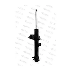 VITAL SUSPENSIONS 110324.2