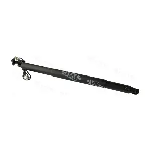 352031 VITAL SUSPENSIONS