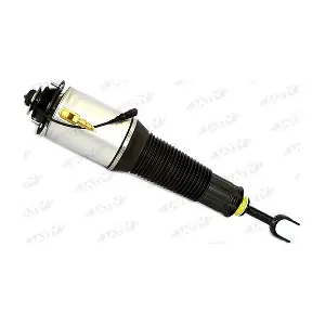 VITAL SUSPENSIONS 170022