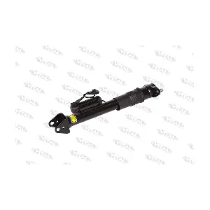 160002 VITAL SUSPENSIONS