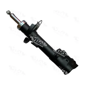 VITAL SUSPENSIONS 110345.2