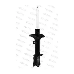 VITAL SUSPENSIONS 110927.1