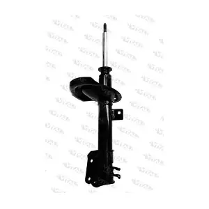 VITAL SUSPENSIONS 210152
