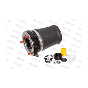 750042 VITAL SUSPENSIONS
