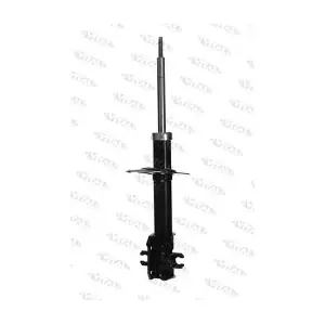 VITAL SUSPENSIONS 110141.0