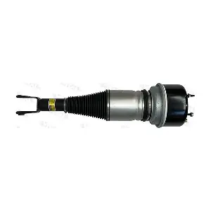 170056 VITAL SUSPENSIONS