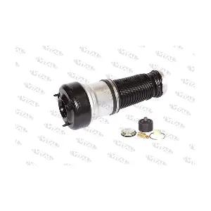 750220 VITAL SUSPENSIONS