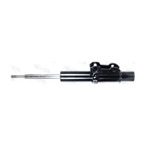 VITAL SUSPENSIONS 110509.0