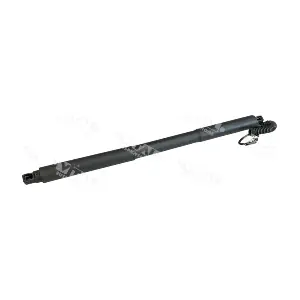352061 VITAL SUSPENSIONS