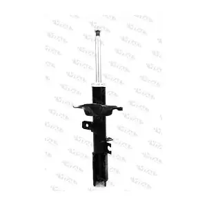 210899 VITAL SUSPENSIONS