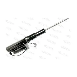 165005 VITAL SUSPENSIONS