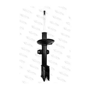 VITAL SUSPENSIONS 110956.0