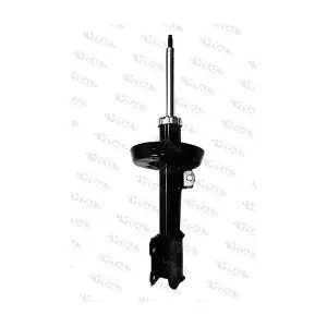 VITAL SUSPENSIONS 110562.1