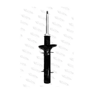 VITAL SUSPENSIONS 100124.0